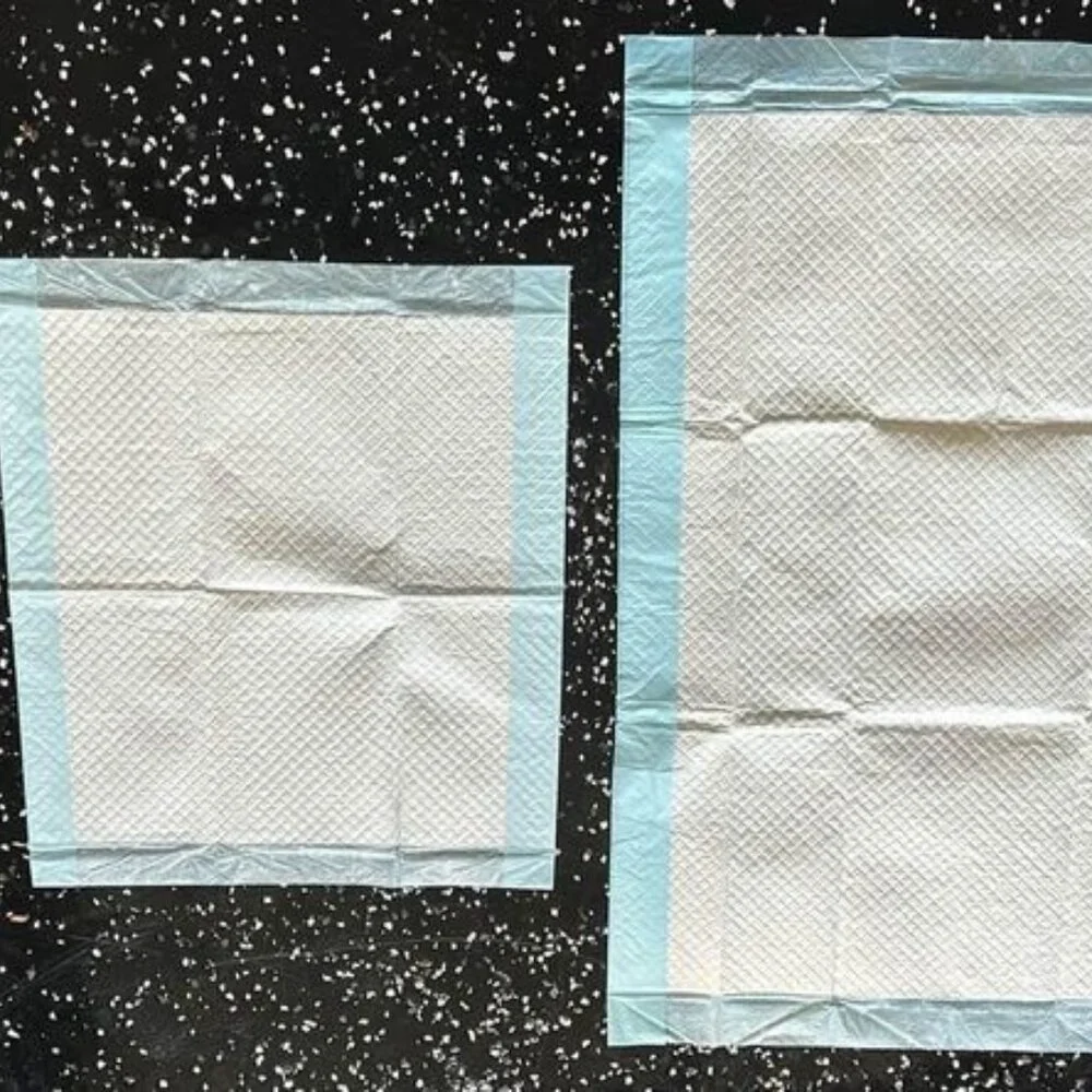 Puppy Potty Training Pads